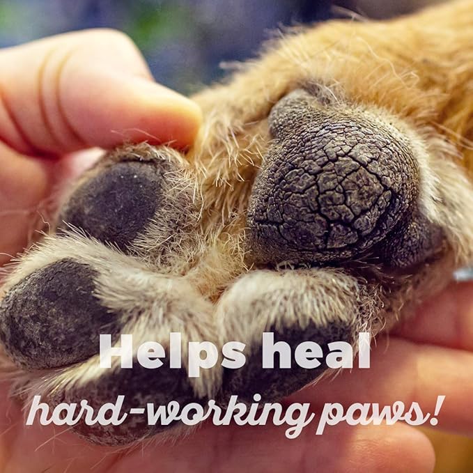 Paw Repair - Paw Pad Protection Balm for Dogs