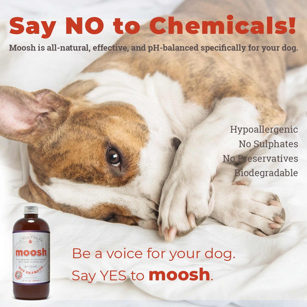 Moosh Dog Shampoo